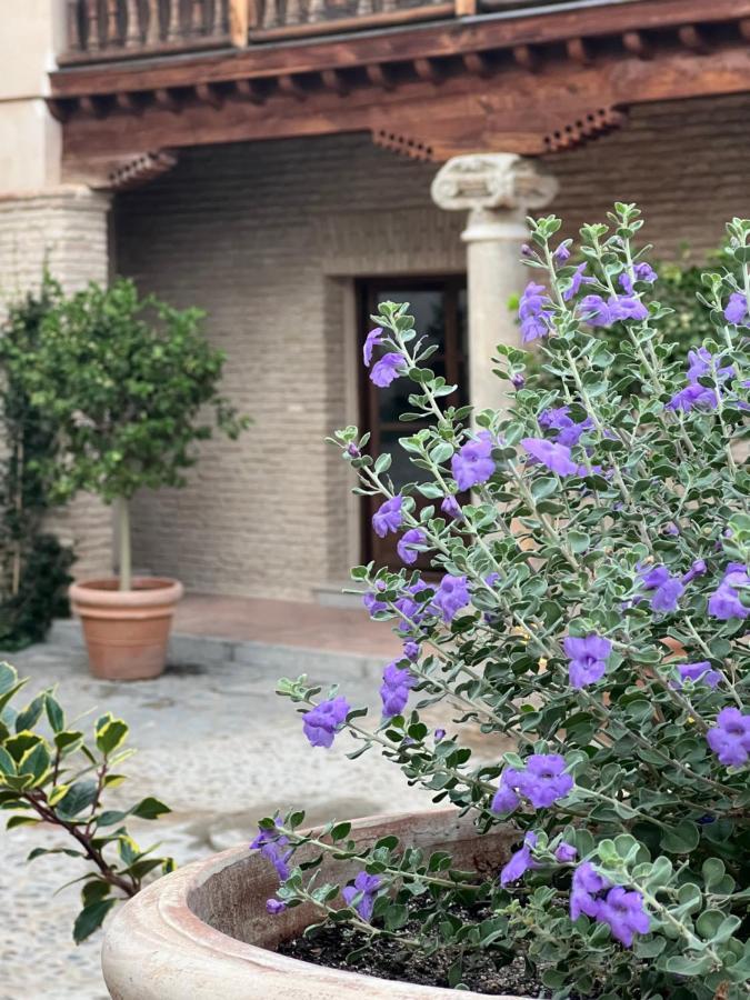 Casa Del Armino Mansion De La Familia De 